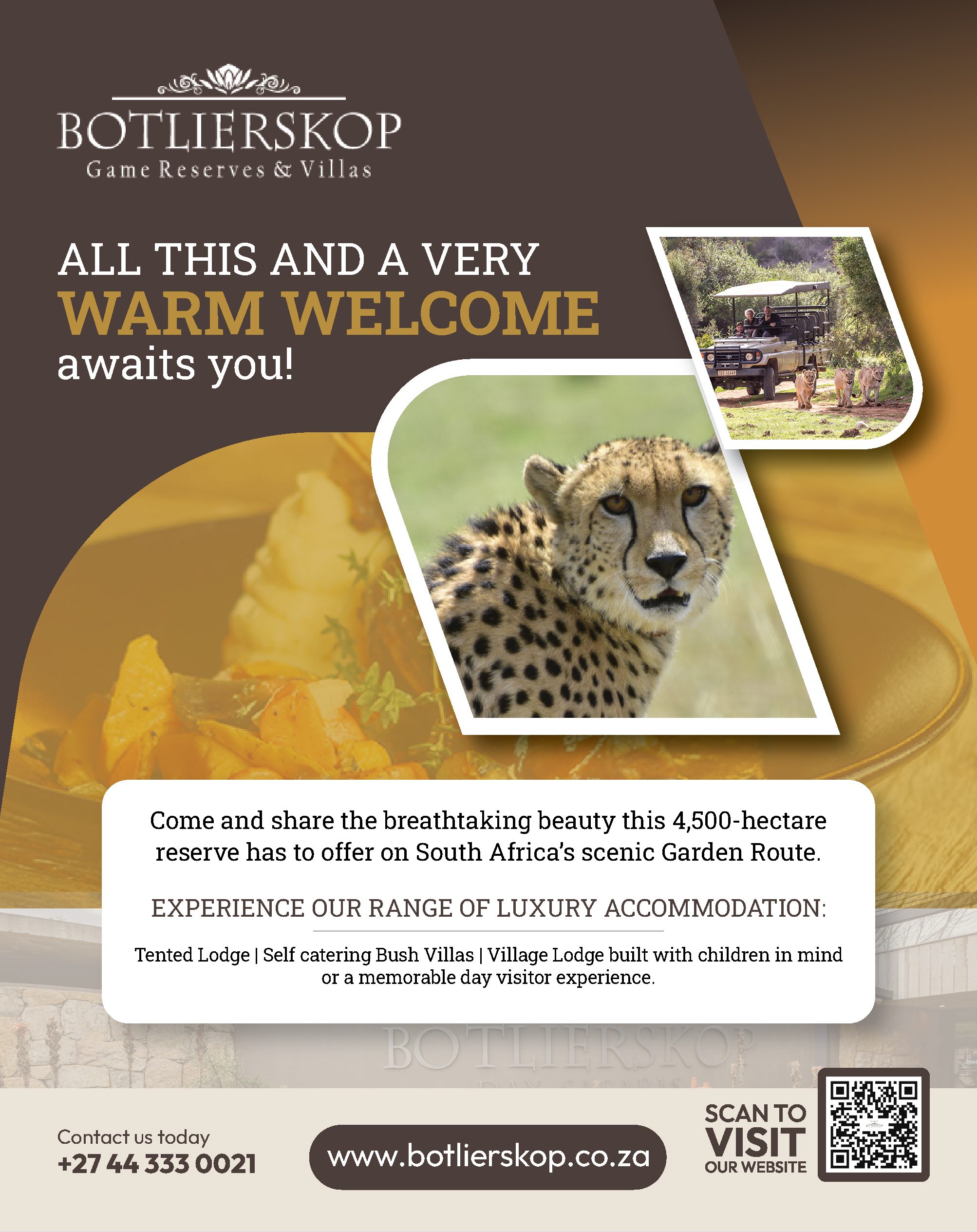 Advert 1