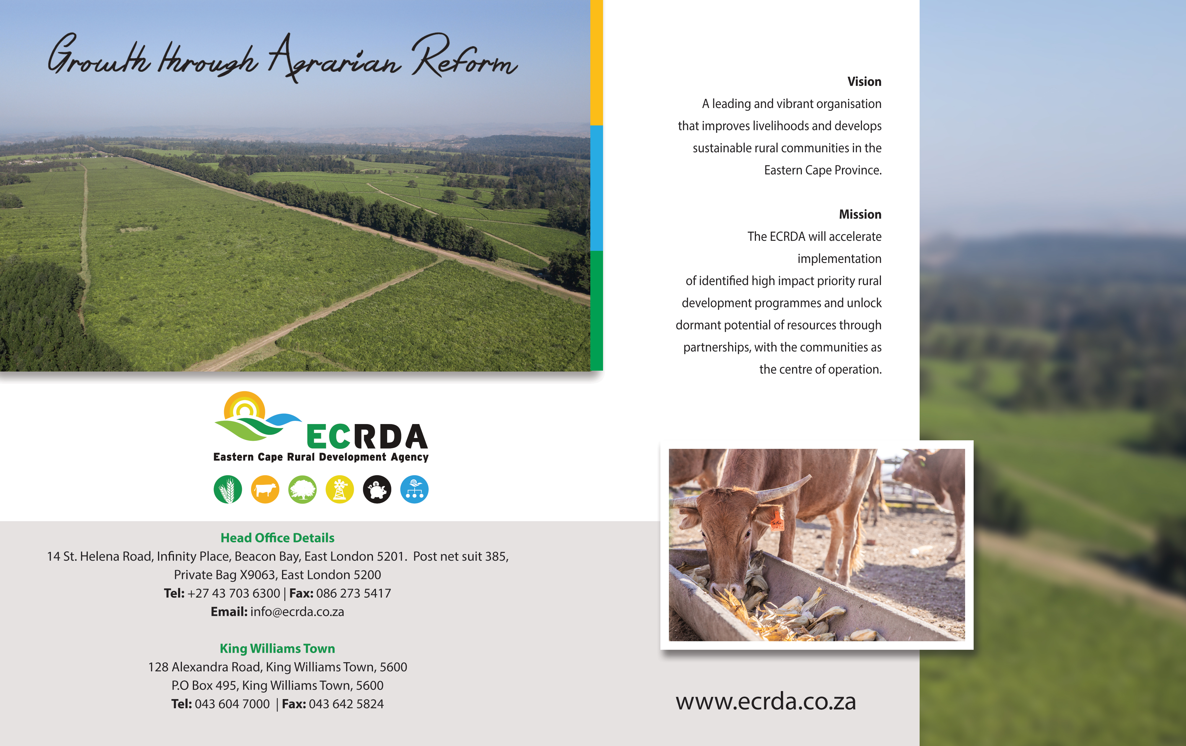 Advert 1