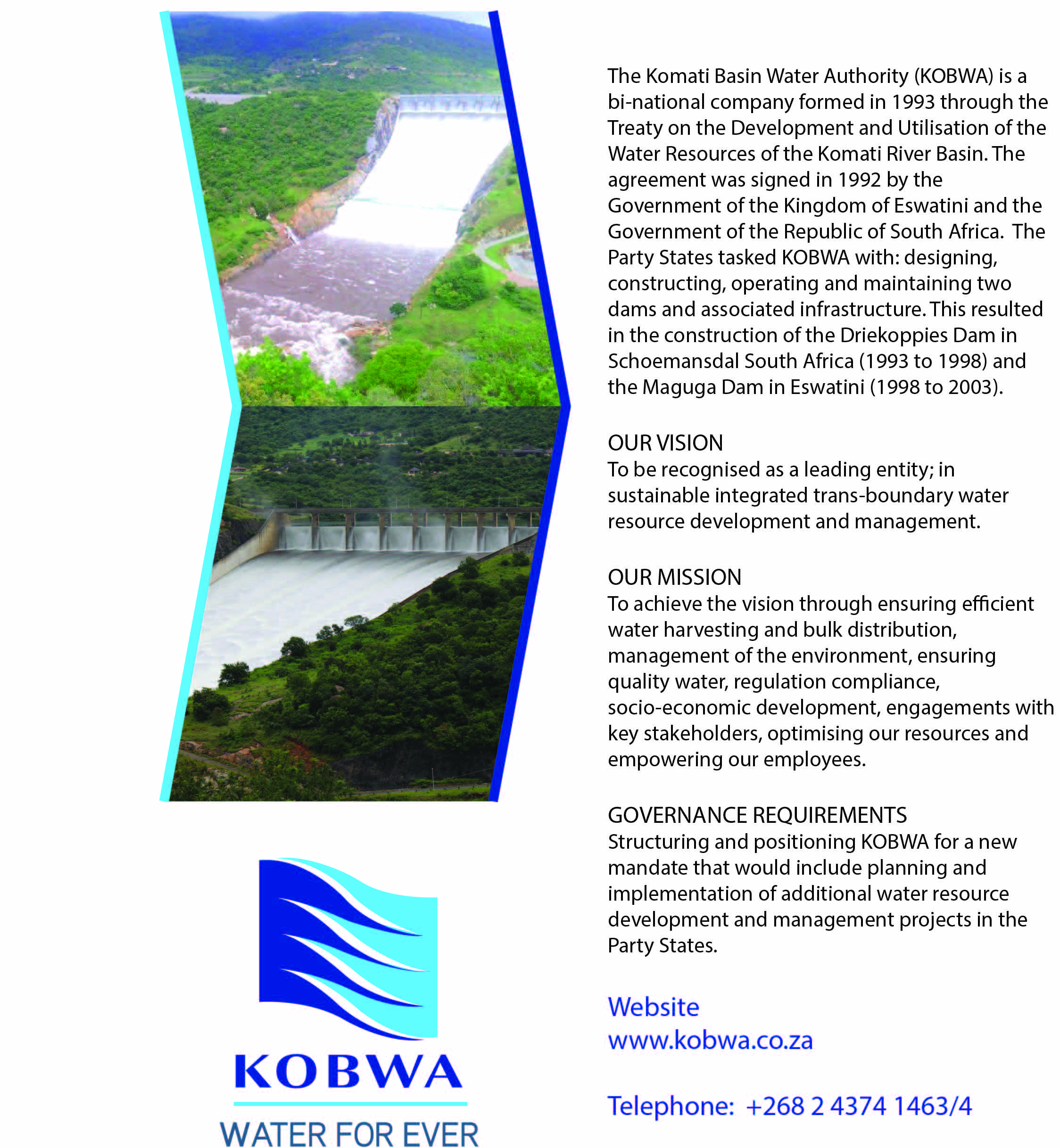 Advert 1