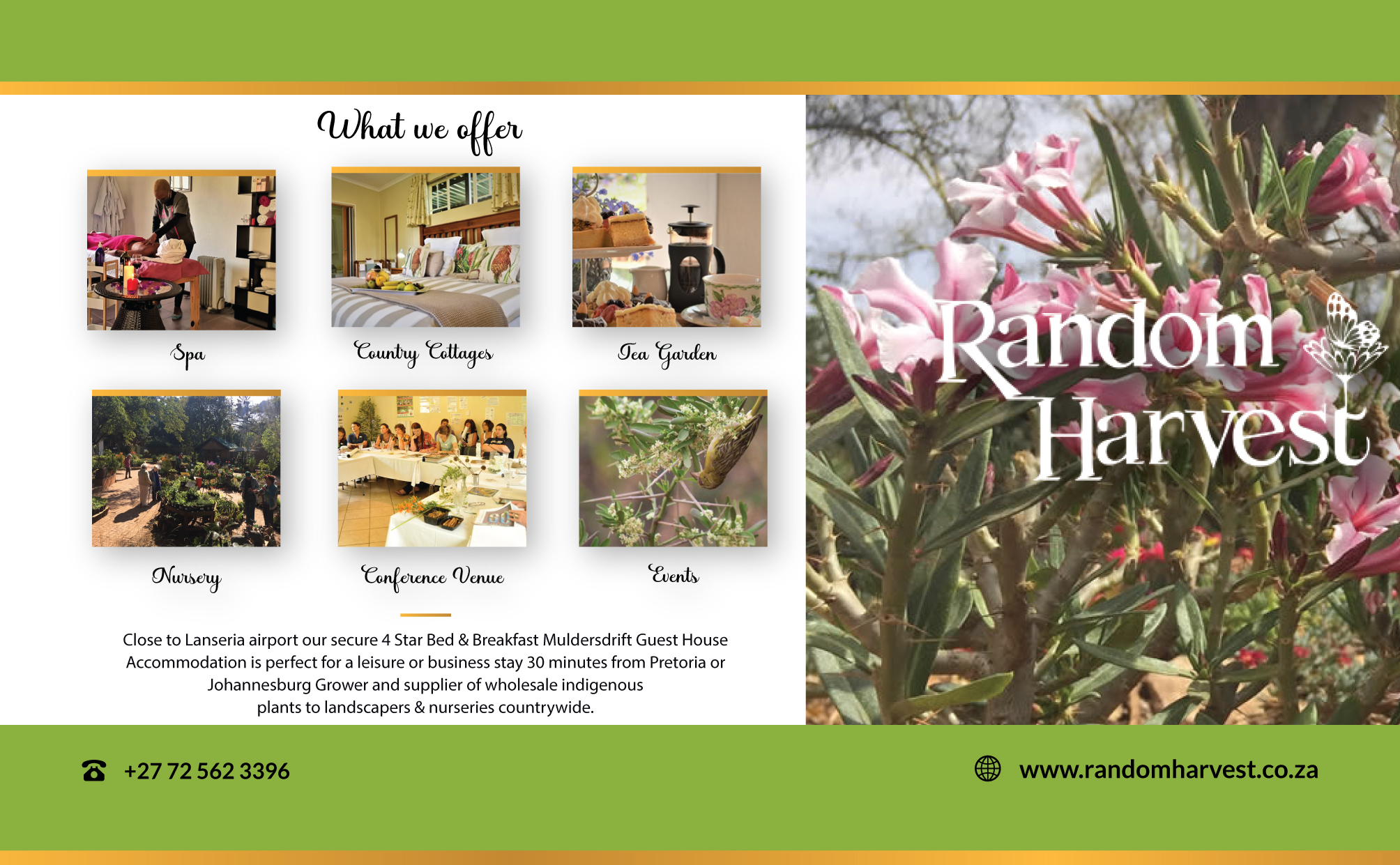 Advert 2