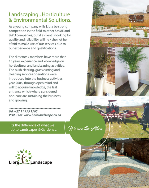 Advert 1
