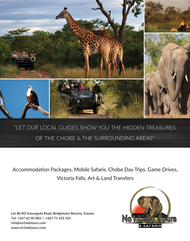 Advert 1