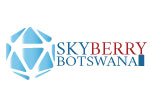 Skyberry Botswana (Pty) Ltd Logo