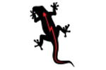 Electri-Fix CC Logo