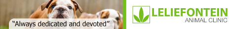 Leliefontien Animal Clinic's banner