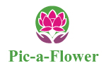 Pic A Flower Logo