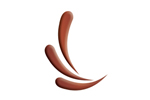 Botsebotse Luxury Retreat Logo