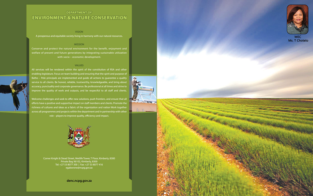 Advert 1
