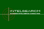Business Intelligence Consulting for Risk Mitigation Logo