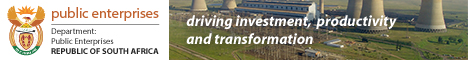 Department of Public Enterprise's banner