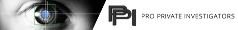 Pro Private Investigators's banner