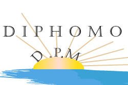 Diphomo Enterprise Logo