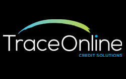 I D P Tracing Services (Pty) Ltd t/a TraceOnline Logo
