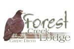Forest Creek Lodge and Spa Logo