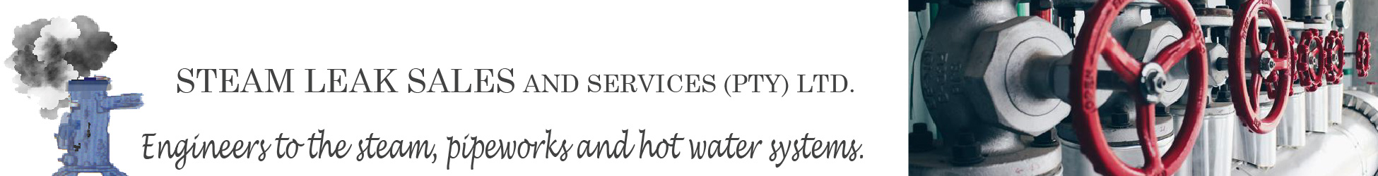 STEAM LEAKS SALES And SERVICES (PTY) LTD's banner