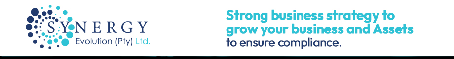 Synergy Evolution (Pty) Ltd.'s banner