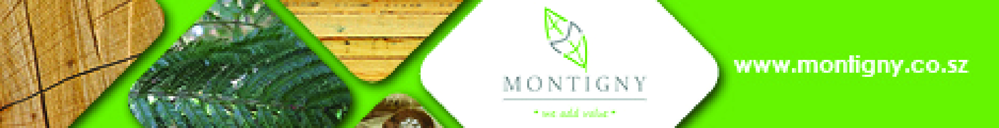Montigny Investments Pty Ltd's banner