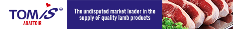 Tomis Abattoir's banner