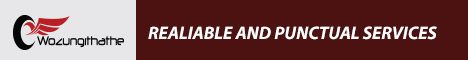 Wozungithathe Business Enterprise's banner