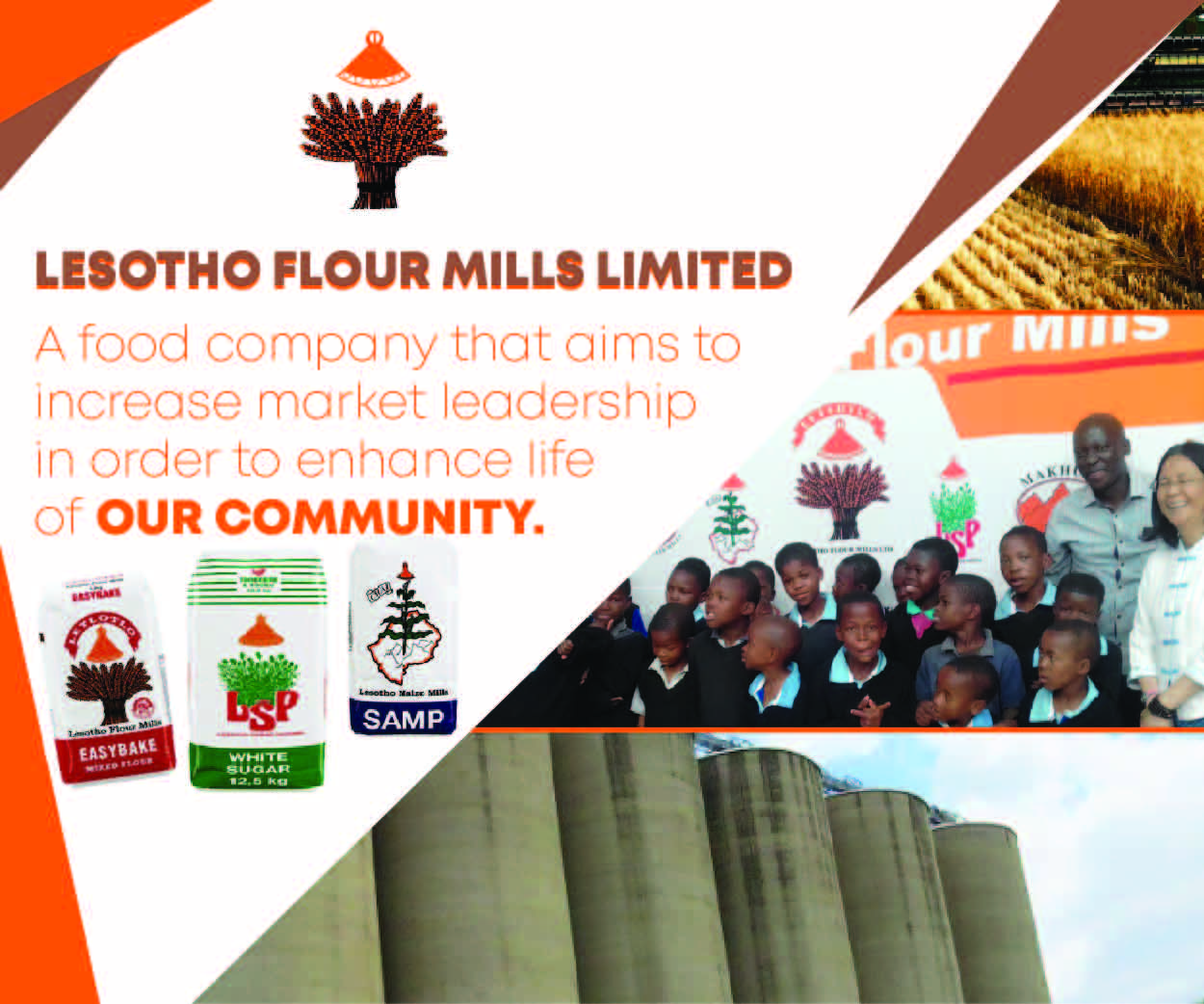 Lesotho Flour Mills Limited classified banner
