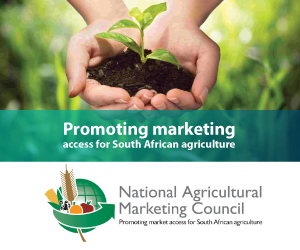 Business Promotion