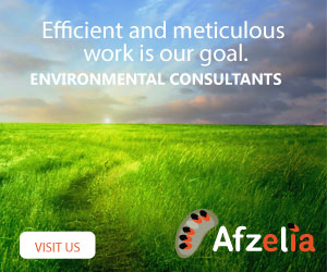 Business Promotion