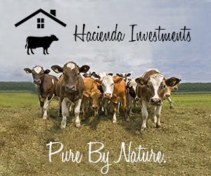 Hacienda Investments CC classified banner