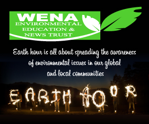Company Banner