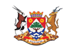 Manne Dipico Hospital Logo
