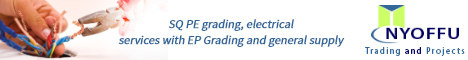 Nyoffu Trading And Projects banner