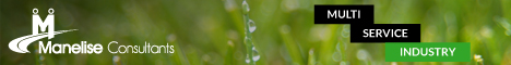 Manelise Consultants banner
