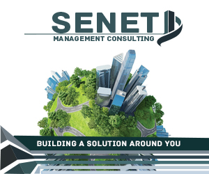 Senet Management consulting Pty) Ltd classified banner