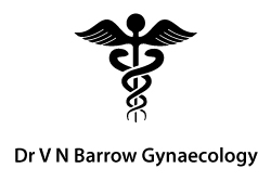 DR V N Barrow Gynaecology Logo
