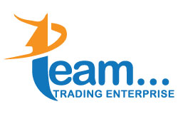 Team Trading Enterprise