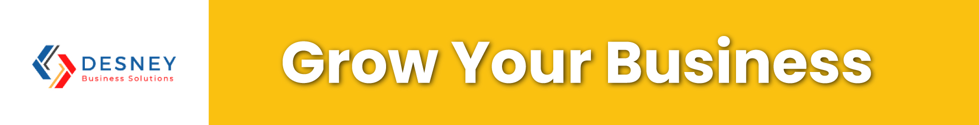Desney Business Solutions banner