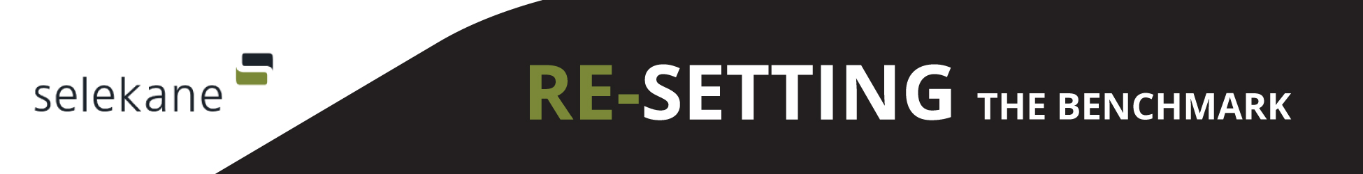 Selekane Consultants banner