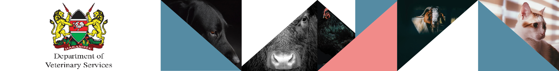 Department Of Veterinary Services banner