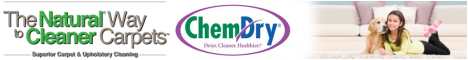 ChemDry Pta East/Moot & Noord & Centurion banner
